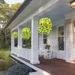 Hanging Morning Glory - Image 7
