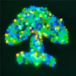 Outdoor Luminous Stones - Image 7