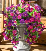 Hanging Morning Glory