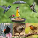 Hanging Umbrella Girl Bird Feeder Garden Decor - Image 4
