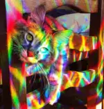 Rainbow Window Sticker - Image 7