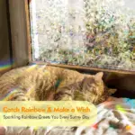 Rainbow Window Sticker - Image 4