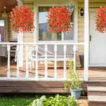 Hanging Morning Glory - Image 3